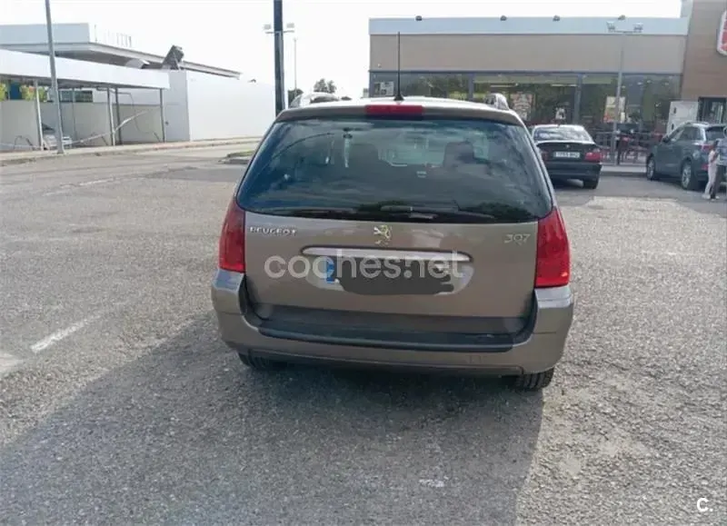 Usado Peugeot 307 110 CV (80 kW) 2005 Marrón Familiar