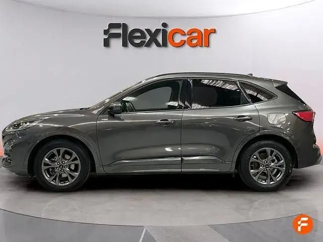 Usado Ford Kuga ST-Line 120 HP (88 kW) 2024 Cinzento SUV