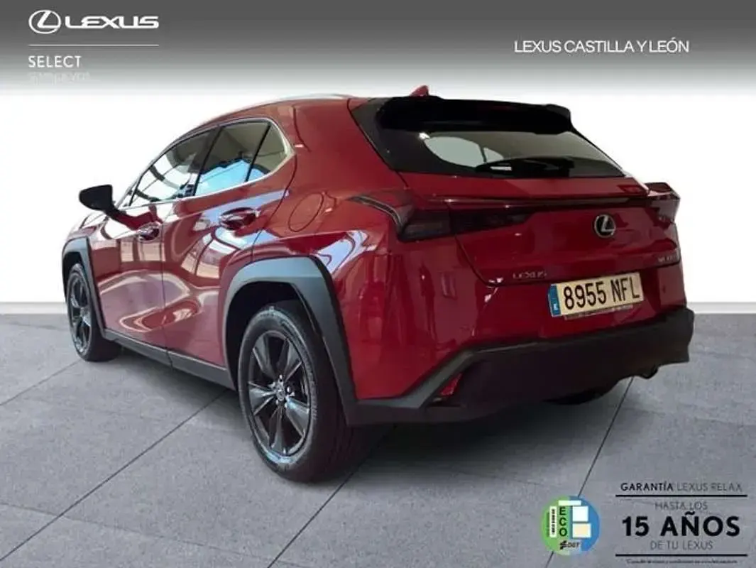 Usado Lexus UX 300h 199 CV (146 kW) 2025 Rojo SUV