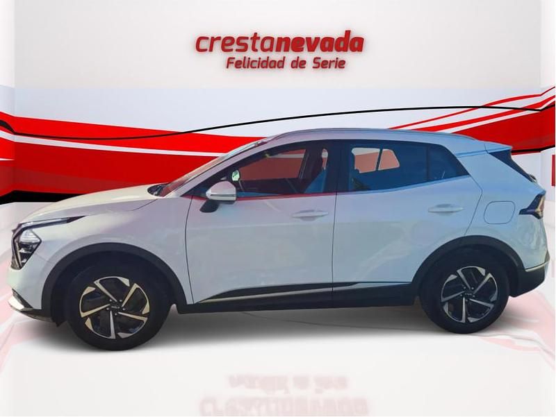 Usado Kia Sportage 150 CV (110 kW) 2024 SUV