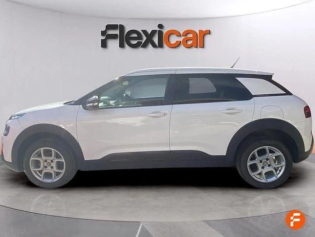Usado Citroën C4 Cactus Feel 102 CV (75 kW) 2019 Blanco Utilitario