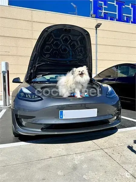 Usado Tesla Model 3 RWD 239 kW (325 CV) 2021 Eléctrico Berlina