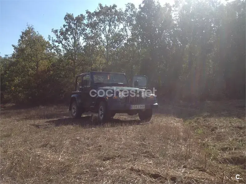 Usado Jeep Wrangler 118 CV (86 kW) 2001 Verde SUV
