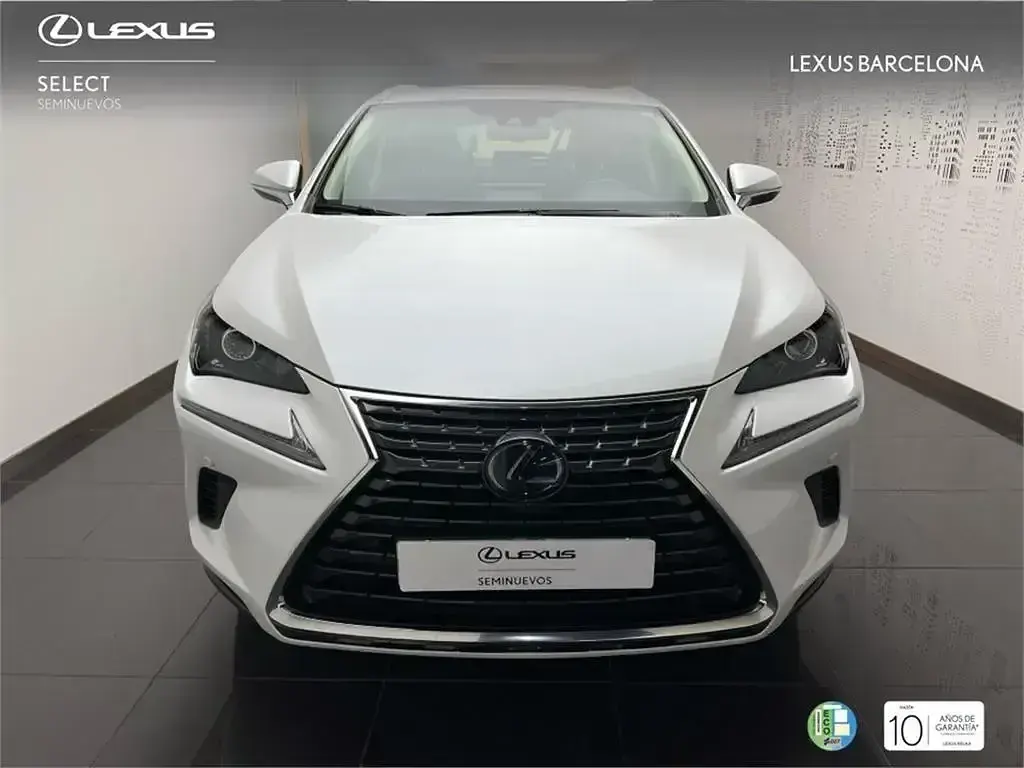 Usado Lexus NX300h Business Edition 197 CV (144 kW) 2020 Blanco SUV