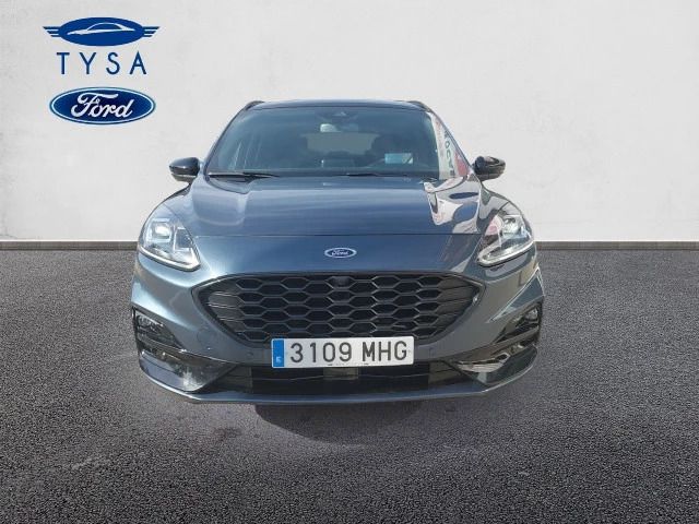 Usado Ford Kuga ST-Line X 190 CV (139 kW) 2023 Suv SUV