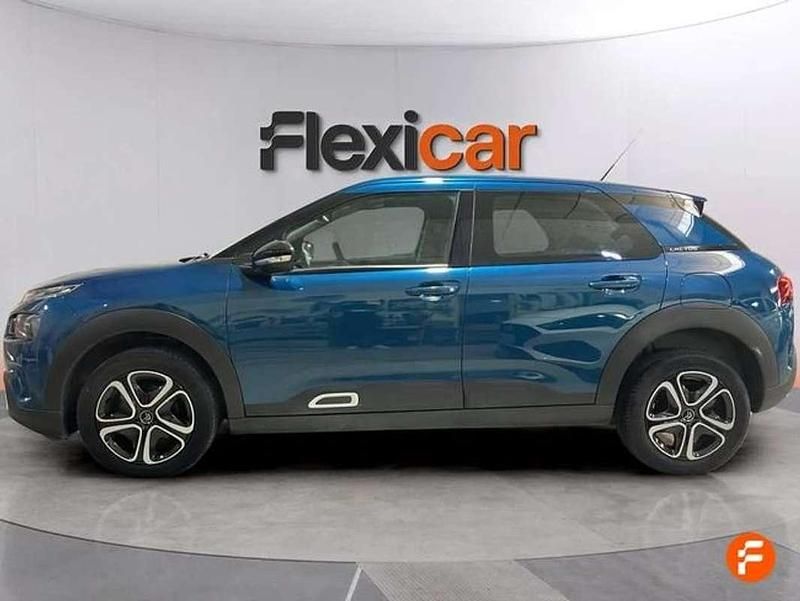 Usado Citroën C4 Cactus Feel 102 CV (75 kW) 2019 Azul Utilitario