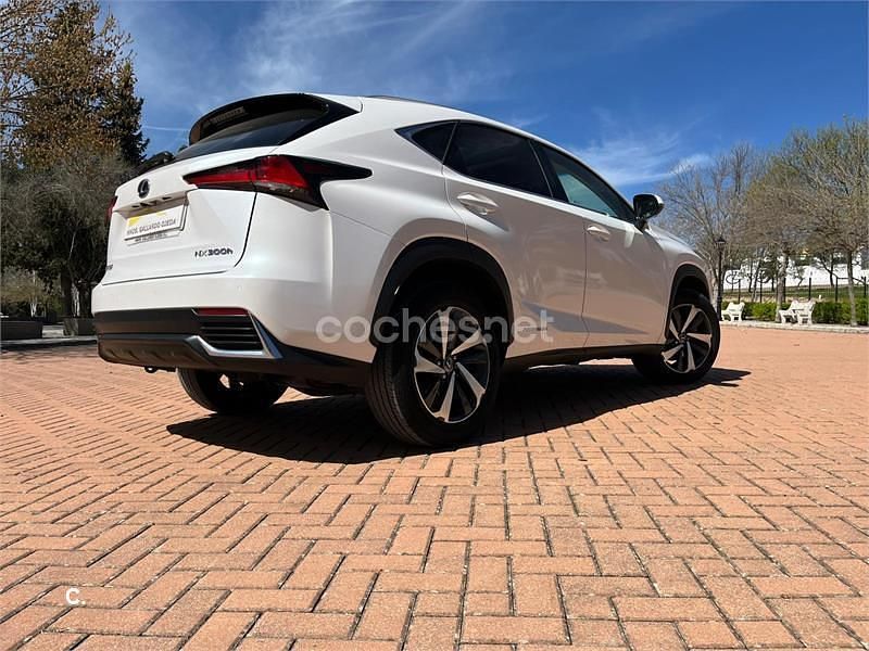 Usado Lexus NX300h Luxury Line 197 CV (144 kW) 2018 Blanco SUV