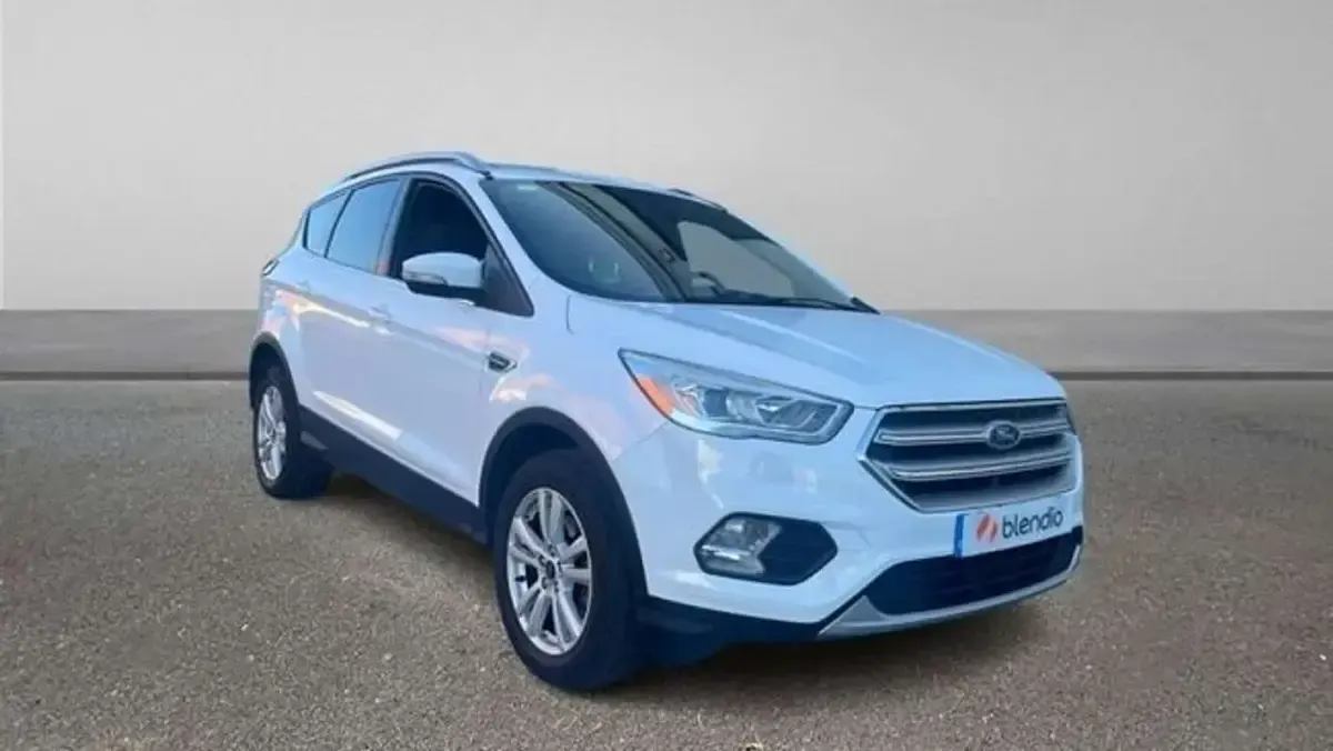 Usado Ford Kuga Trend 150 CV (110 kW) 2018 Blanco SUV