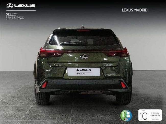 Usado Lexus UX 2024 SUV