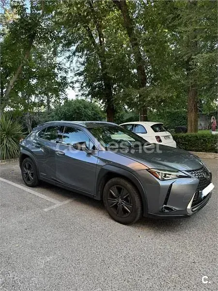 Usado Lexus UX Business Edition 184 CV (135 kW) 2020 Gris / plata SUV