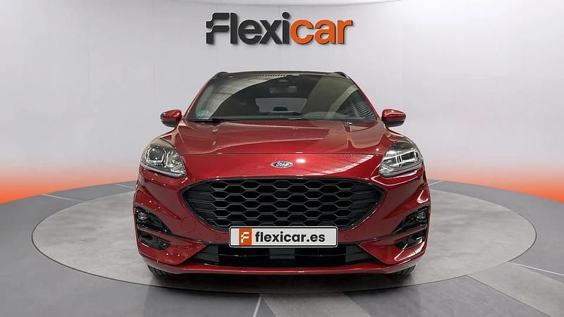 Usado Ford Kuga ST-Line X 192 CV (141 kW) 2021 Rojo SUV