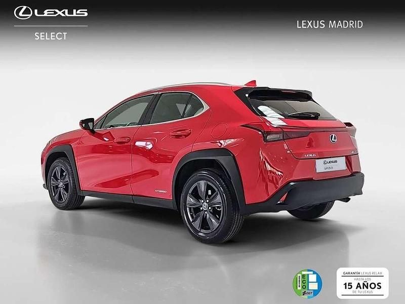 Usado Lexus UX 250h Business Edition 185 CV (136 kW) 2022 Rojo SUV