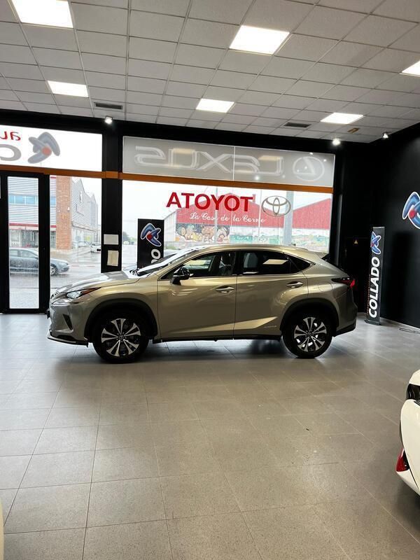 Usado Lexus NX300h 197 CV (144 kW) 2021 Gris / plata SUV