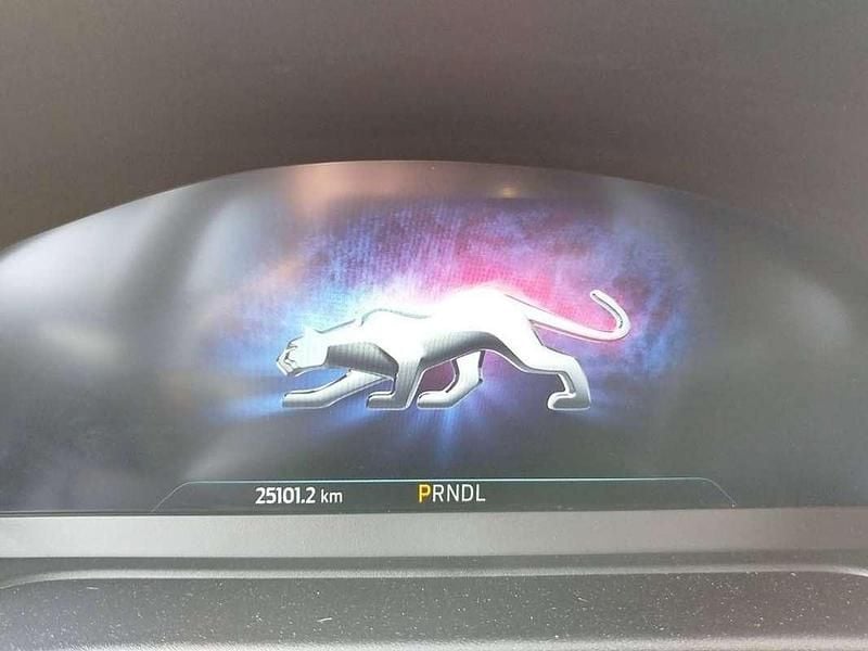 Usado Ford Puma ST-Line 155 HP (114 kW) 2024 Cinzento SUV