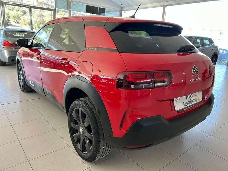 Usado Citroën C4 Cactus Live 82 CV (60 kW) 2019 Rojo Utilitario