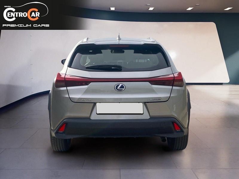 Usado Lexus UX 250h Business Edition 184 CV (135 kW) 2022 Beige SUV