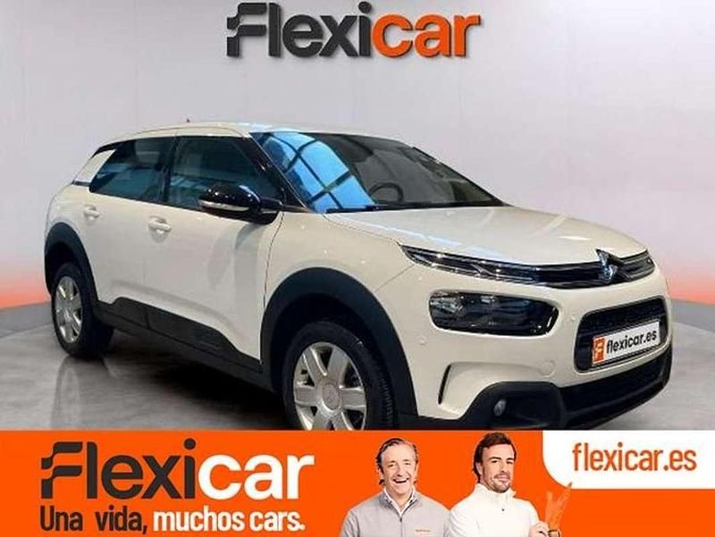 Usado Citroën C4 Cactus Business Class 99 CV (72 kW) 2019 Blanco Utilitario