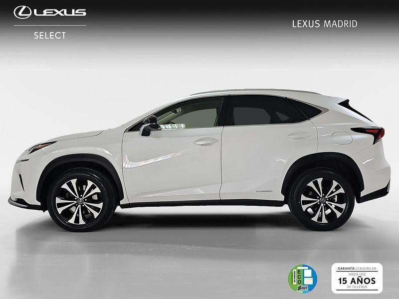 Usado Lexus NX300h 197 CV (144 kW) 2021 Blanco SUV
