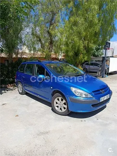 Usado Peugeot 307 110 CV (80 kW) 2002 Azul Familiar