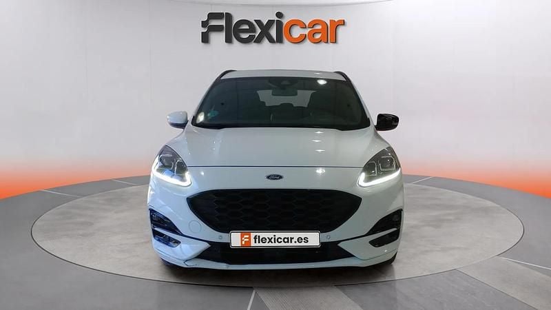 Usado Ford Kuga ST-Line 150 CV (110 kW) 2022 Blanco SUV