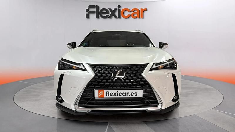 Usado Lexus UX Sport Line 199 CV (146 kW) 2024 Blanco SUV