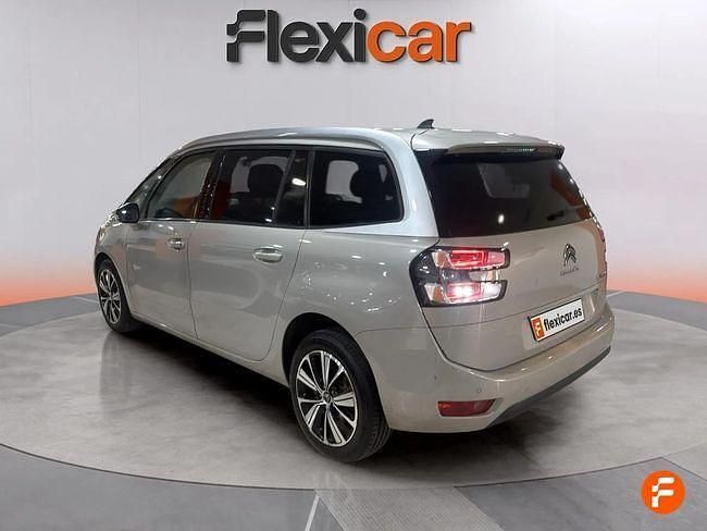 Usado Citroën C4 PureTech 180 CV (132 kW) 2018 Verde