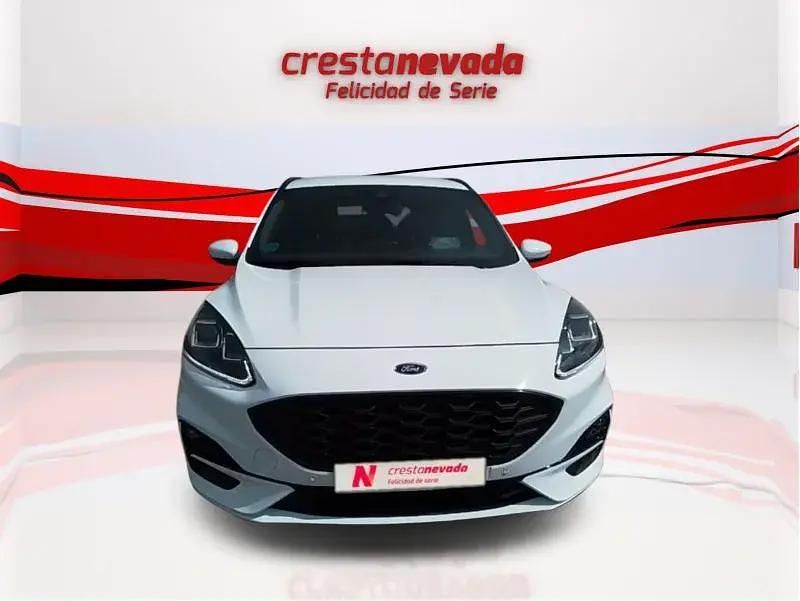 Usado Ford Kuga ST-Line 120 CV (88 kW) 2022 SUV