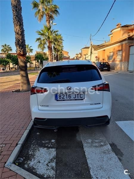 Usado Lexus NX300h 197 CV (144 kW) 2016 Blanco SUV