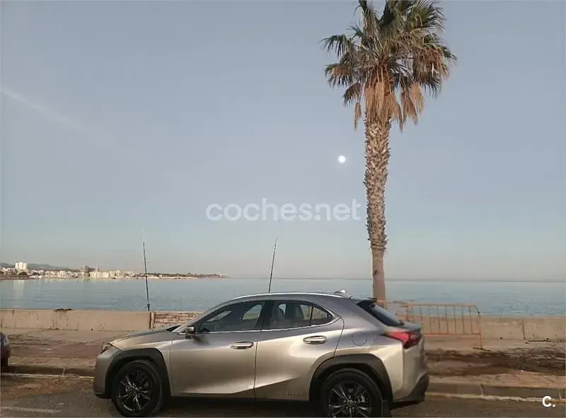 Usado Lexus UX Business Edition 184 CV (135 kW) 2020 Gris / plata SUV