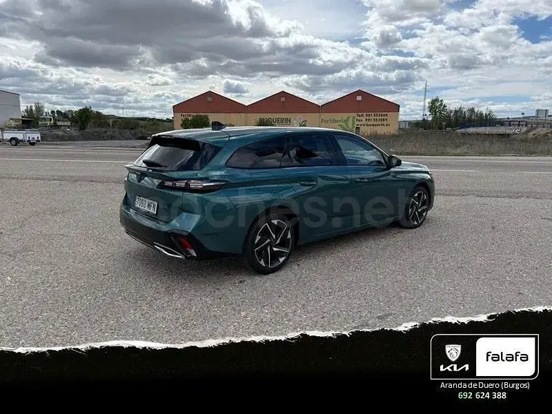 Usado Peugeot 308 SW Allure 130 CV (95 kW) 2023 Verde Familiar
