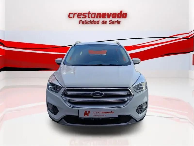 Usado Ford Kuga Trend 120 CV (88 kW) 2019 SUV