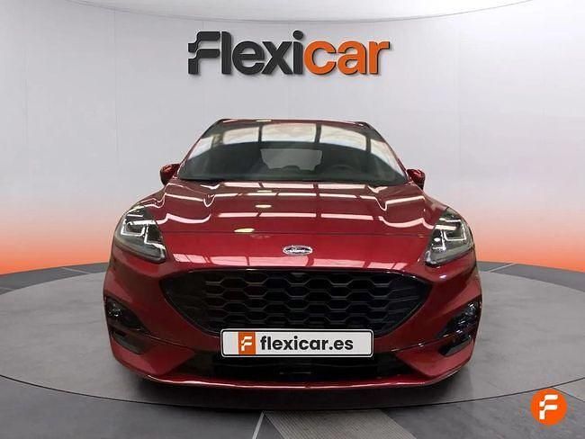 Usado Ford Kuga ST-Line 225 HP (165 kW) 2020 Vermelho SUV