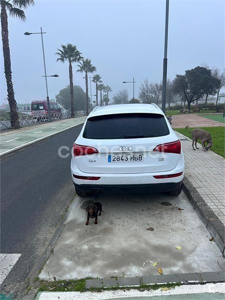 Usado Audi Q5 170 CV (125 kW) 2011 Blanco SUV