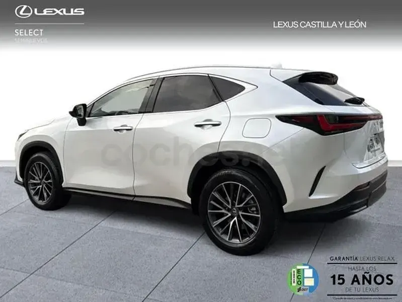 Usado Lexus NX450h+ 292 CV (214 kW) 2025 Blanco SUV