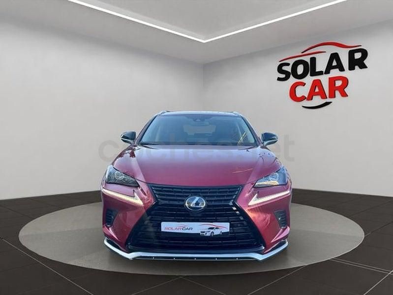 Usado Lexus NX300h 197 CV (144 kW) 2021 Granate SUV