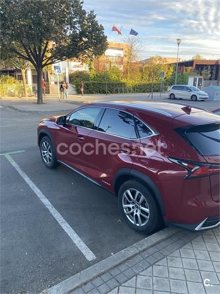 Usado Lexus NX300h Luxury Line 197 CV (144 kW) 2019 Granate SUV