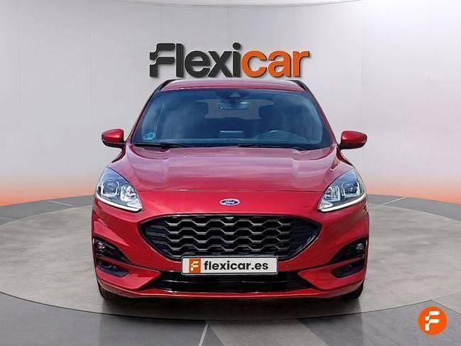 Usado Ford Kuga ST-Line 120 CV (88 kW) 2023 Rojo SUV