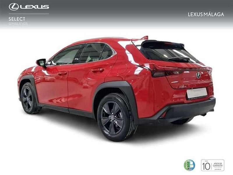 Usado Lexus UX 250h Business Edition 184 CV (135 kW) 2022 Rojo SUV