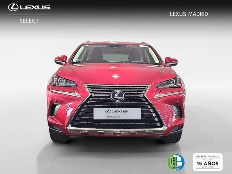 Usado Lexus NX300h Business Edition 197 CV (144 kW) 2020 Rojo SUV