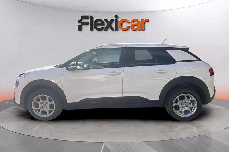 Usado Citroën C4 Cactus Feel 102 CV (75 kW) 2019 Blanco Utilitario