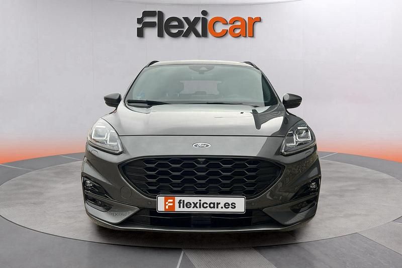 Usado Ford Kuga ST-Line 150 CV (110 kW) 2020 Gris SUV