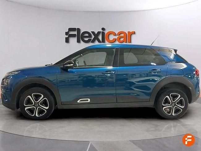 Usado Citroën C4 Cactus Feel 102 CV (75 kW) 2019 Azul Utilitario