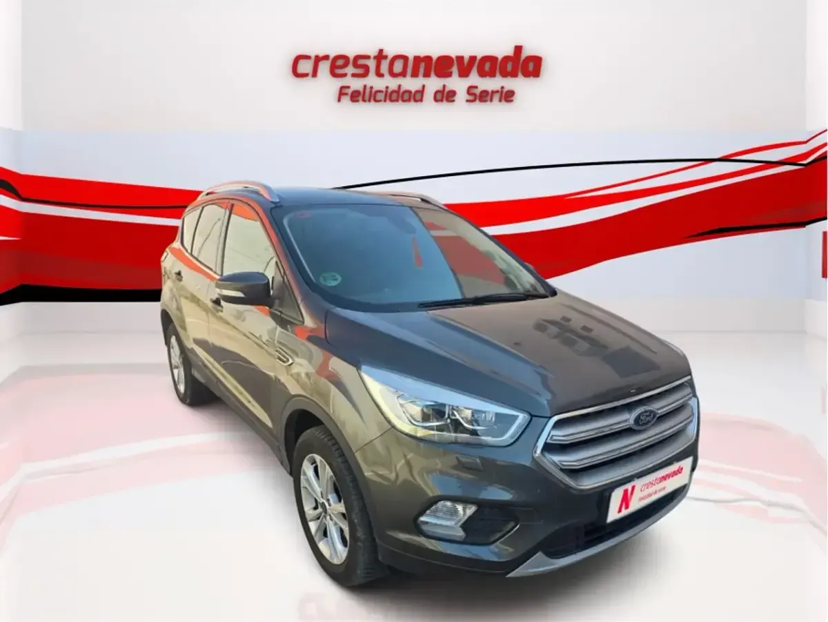 Usado Ford Kuga Titanium 150 CV (110 kW) 2019 Gris SUV