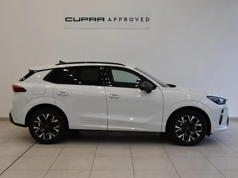 Occasion Cupra Terramar 150 ch (110 kW) 2025 Blanc SUV