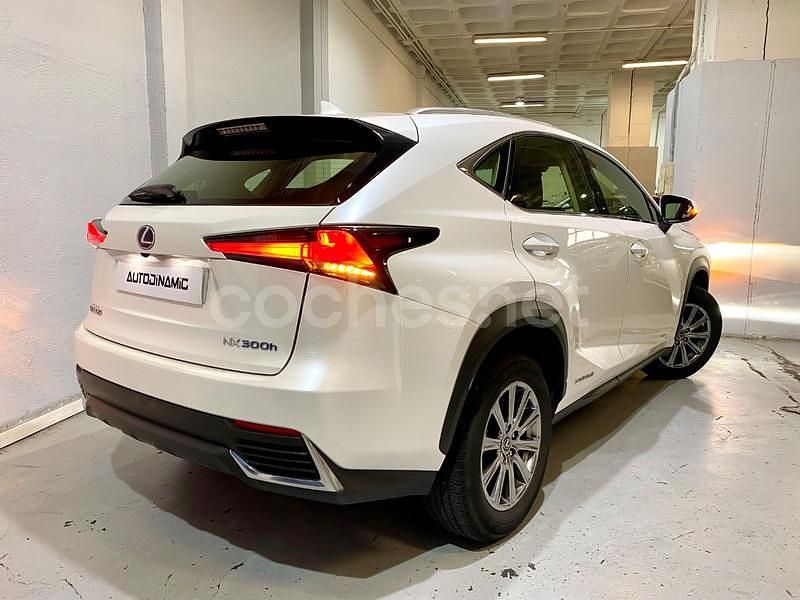 Usado Lexus NX300h Business Edition 197 CV (144 kW) 2019 Blanco SUV
