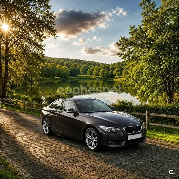 Usado BMW 220 Comfort Edition 184 CV (135 kW) 2016 Negro Coupe
