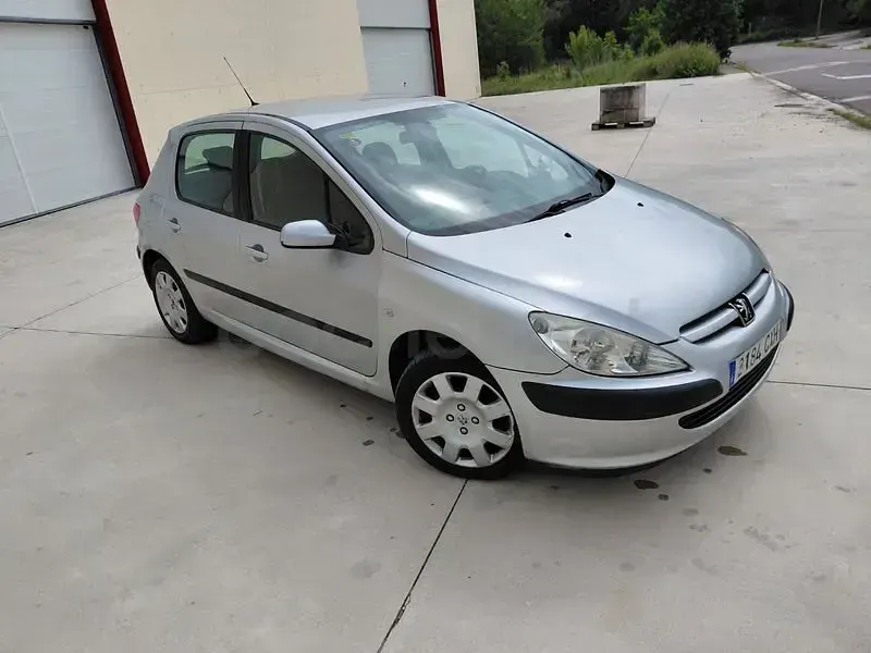 Usado Peugeot 307 110 CV (80 kW) 2004 Gris / plata Berlina
