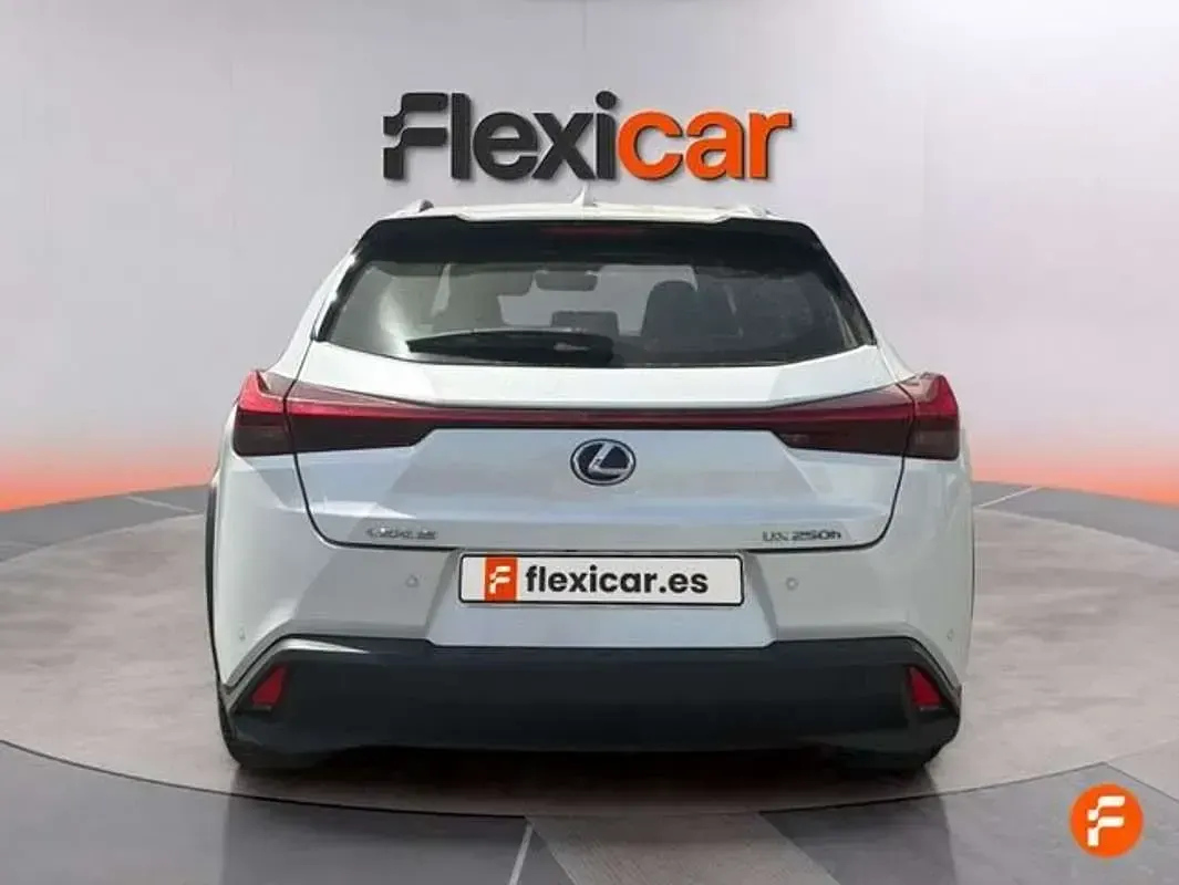 Usado Lexus UX 250h Business Edition 184 CV (135 kW) 2019 Blanco SUV