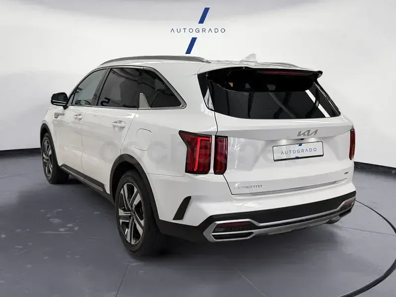 Usado Kia Sorento Plus 230 CV (169 kW) 2024 Blanco SUV