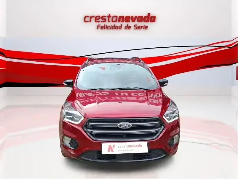 Usado Ford Kuga ST-Line 179 CV (131 kW) 2019 Rojo SUV
